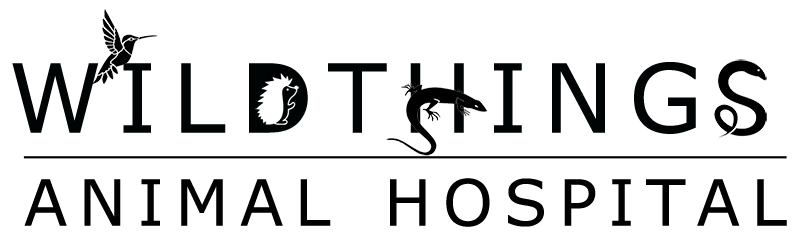 Wild Things Animal Hospital